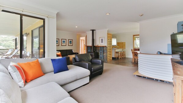 TV, fireplace, Netflix, streaming services