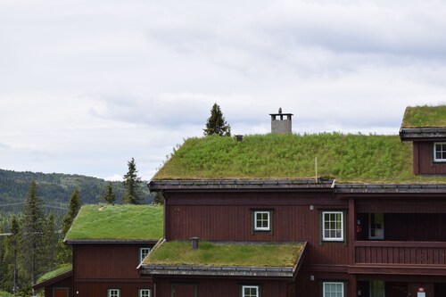 Skeikampen, practical apartment, 8-s. Centrally located