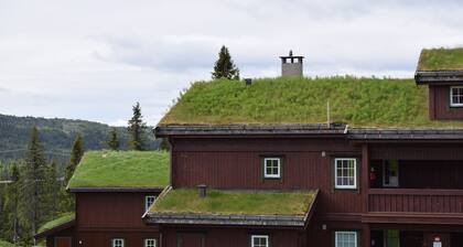 Skeikampen, practical apartment, 8-s. Centrally located