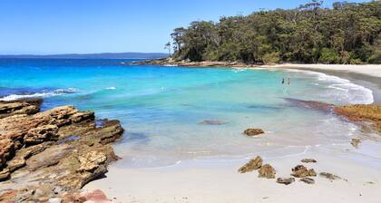 Treetops in Vincentia, Jervis Bay