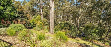A garden with various plants and trees, a clear sky, and a path.