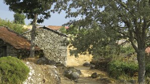 A stone building with a rustic appearance, surrounded by trees and a dirt path. - Room in Cabin - Restored, Rustic and Rural Mini Cottage in Typical Portuguese Village (Lamego)