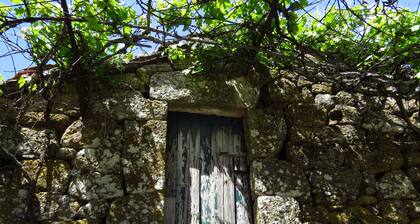 Room in Cabin - Restored, Rustic and Rural Mini Cottage in Typical Portuguese Village