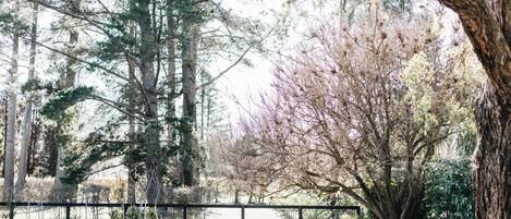 Terrain de lâhĂ©bergement