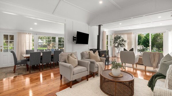 TV, fireplace, Netflix, streaming services