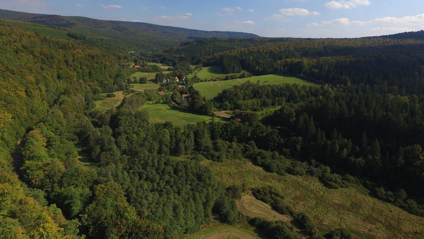 A rural landscape with rolling hills, dense forests, and scattered houses.