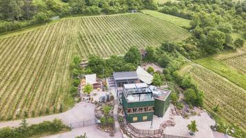 Weingut