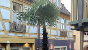 Un patio con una palmera en una maceta grande, un área empedrada de piedra y un edificio con fachada azul y amarilla.
