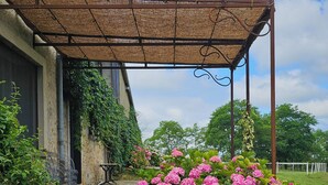 A covered outdoor area with a pergola, a pathway leading to a building, and lush pink hydrangea bushes. - Domaine d'en Roques (Chalabre)