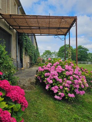 Terrain de l’hébergement 