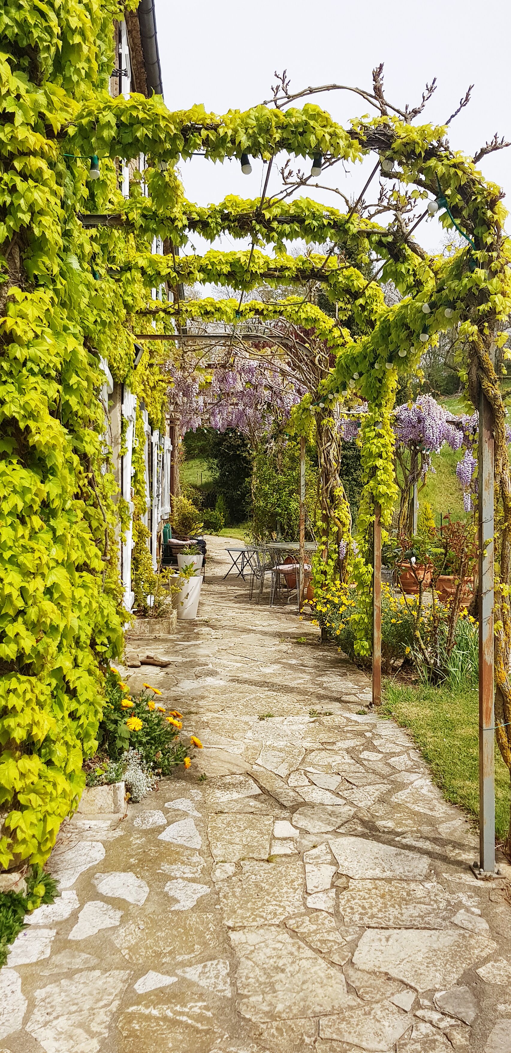 Terrain de l’hébergement 