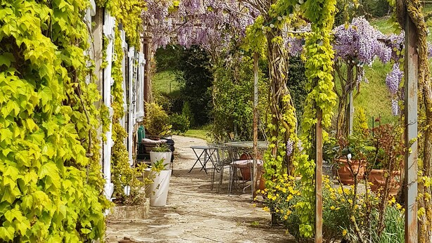 A stone pathway leading through a garden with a pergola covered in green vines and purple flowers. - Domaine d'en Roques (Chalabre)