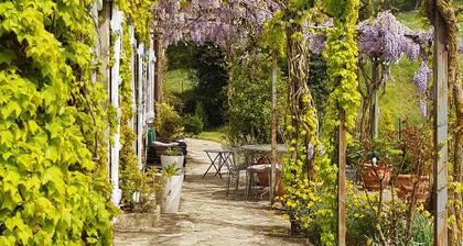 Propriété familiale de caractÚre de 60ha. Panorama exceptionnel sur les Pyrénées