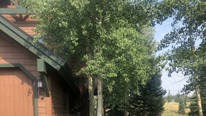 A wooden building with a stone foundation, a garage door marked with the number 87, and a stone pathway leading to the entrance. - Family Hot Tub, MountainScape Chalet! Paradise! (Breckenridge)