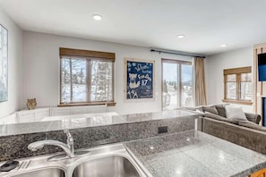 A modern kitchen with granite countertops, stainless steel appliances, and a large window offering a view of snow-covered trees. - Family Hot Tub, MountainScape Chalet! Paradise! (Breckenridge)