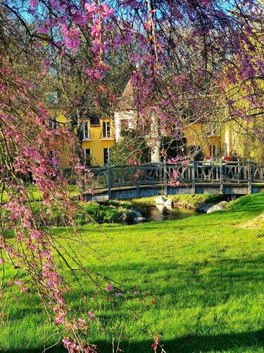 Exceptional property with generous, elegant spaces. 5* Villa