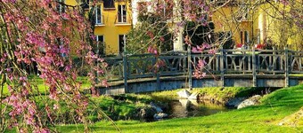 Exceptional property with generous, elegant spaces. 5* Villa