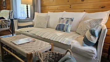 Smart TV, fireplace, DVD player, books