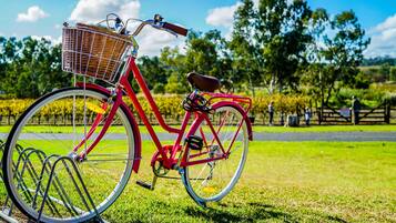 A red bicycle with a basket, parked on grass with a vineyard and a wooden fence in the background.