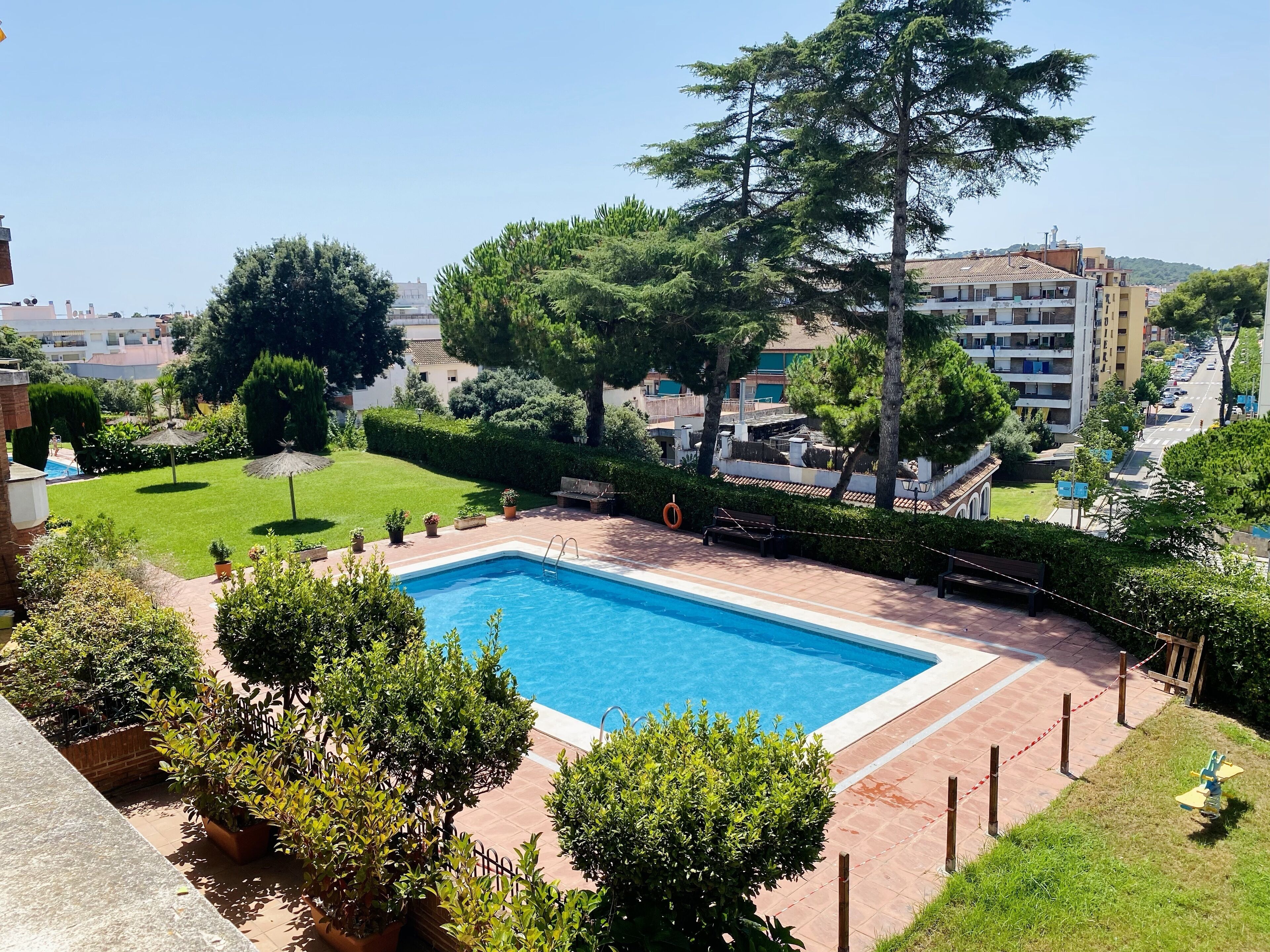 A rectangular swimming pool with a tiled deck, surrounded by well-maintained hedges and trees.