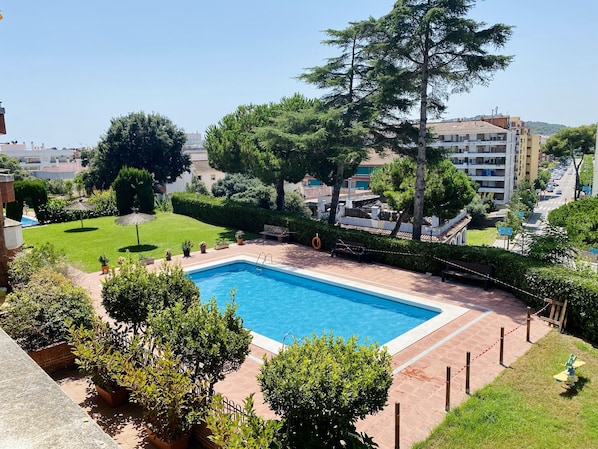 A rectangular swimming pool with a tiled deck, surrounded by well-maintained hedges and trees.