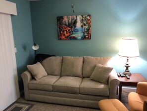 Smart TV, fireplace, DVD player, books