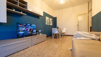 Smart-TV, Arbeitsbereiche