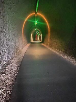 En tunnel med en belagt sti og grønt lys for enden.