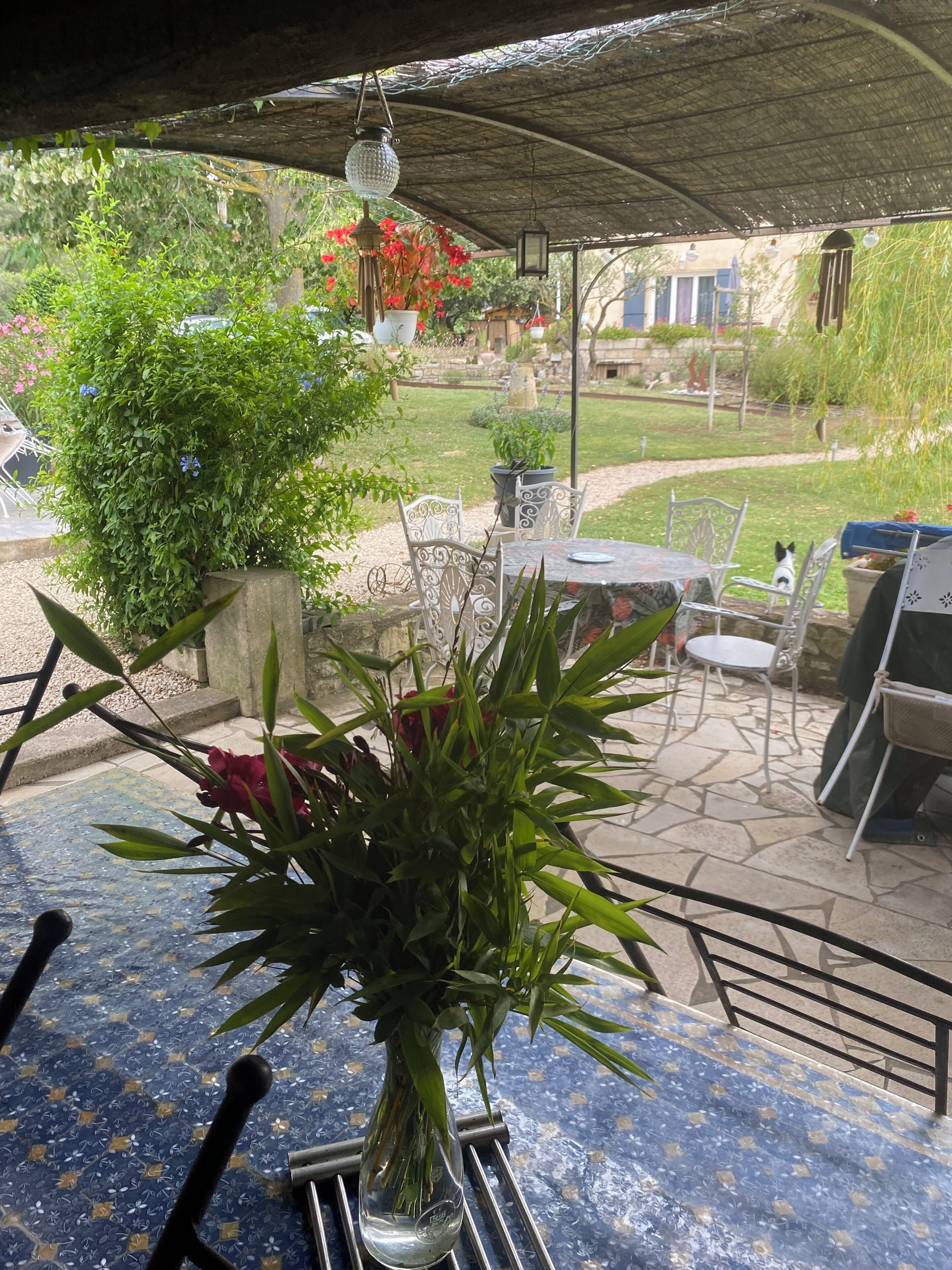 Un patio con mesa y sillas, rodeado de plantas en macetas y vistas a un jardín.