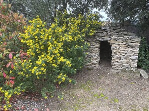 A stone structure with a doorway, surrounded by yellow flowering plants and green foliage.