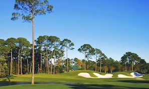 Golf - Ocean View-Best Beach Location+Patio-Large Luxurious Condo (Miramar Beach)