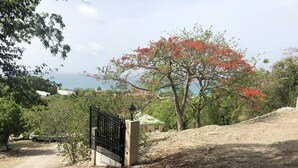 A gated entrance with a dirt path leading to a building.
