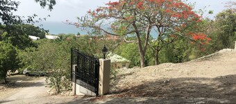 Escape the cold and stay with us. A Tropical Getaway!