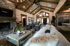 Fernseher, Kamin, Videospiele, DVD-Player