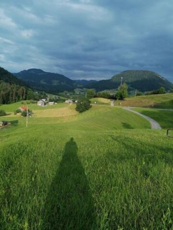 Un paysage rural avec une route sinueuse, des champs verdoyants et des montagnes à l’horizon.