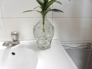 Chuveiro, secador de cabelo, papel higiênico