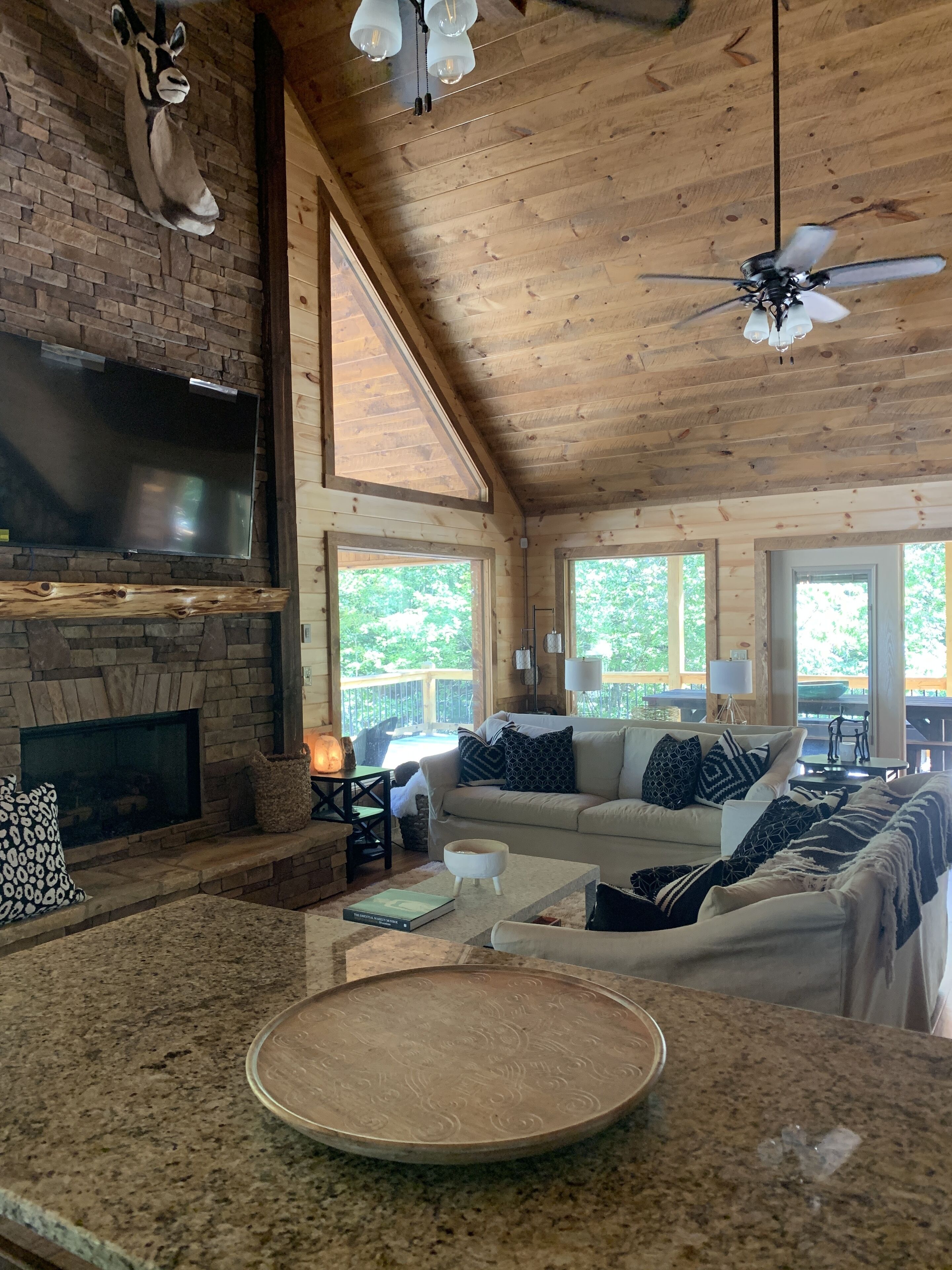 TV, fireplace, books, music library