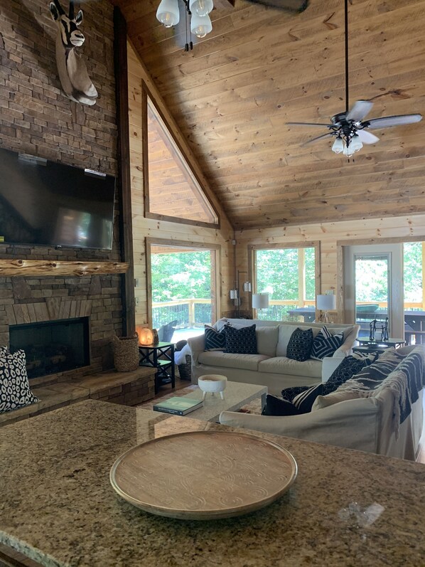 TV, fireplace, books, music library