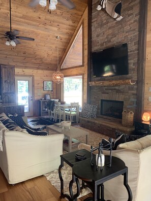 TV, fireplace, books, music library