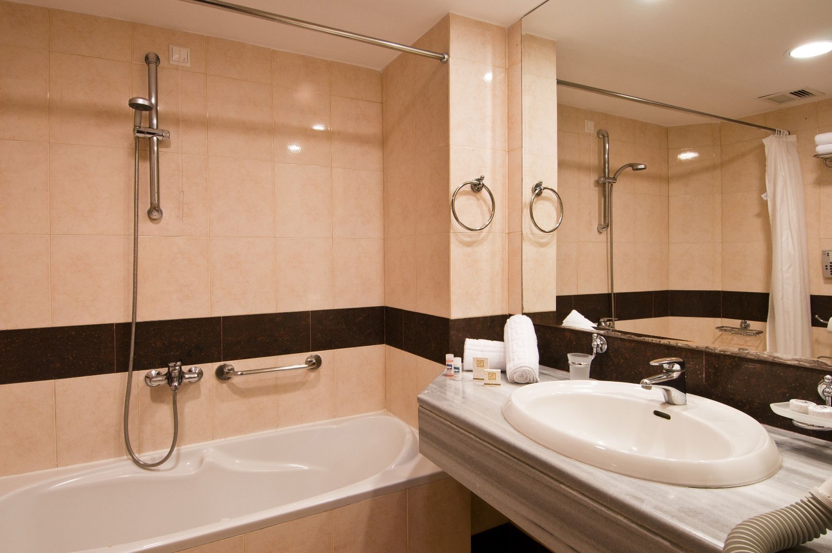 Une salle de bain avec une baignoire, un lavabo, une douche et un grand miroir.