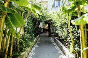 Property grounds - Zi Carmela (Forio)