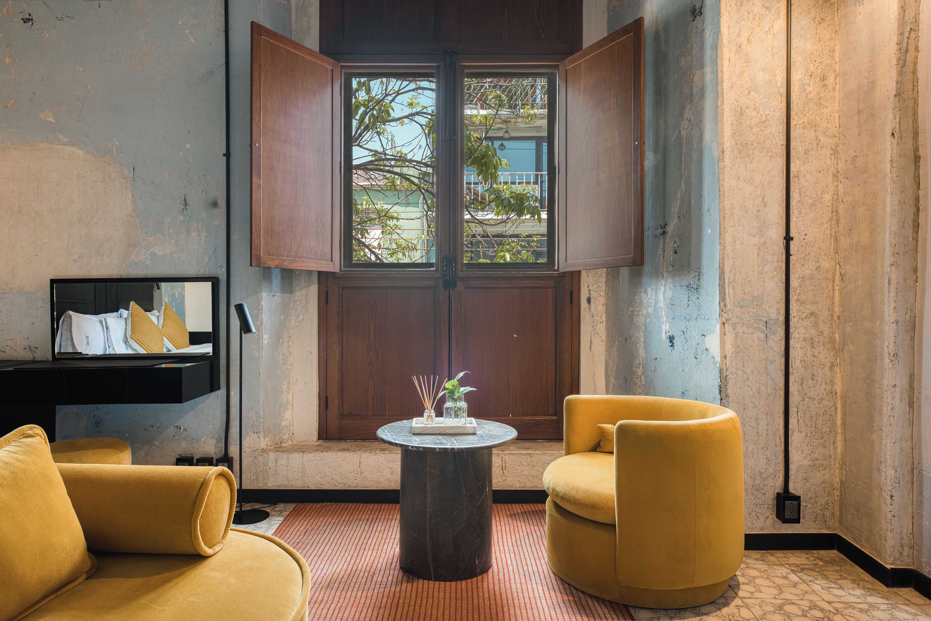 Foto - Pug Seal Oaxaca