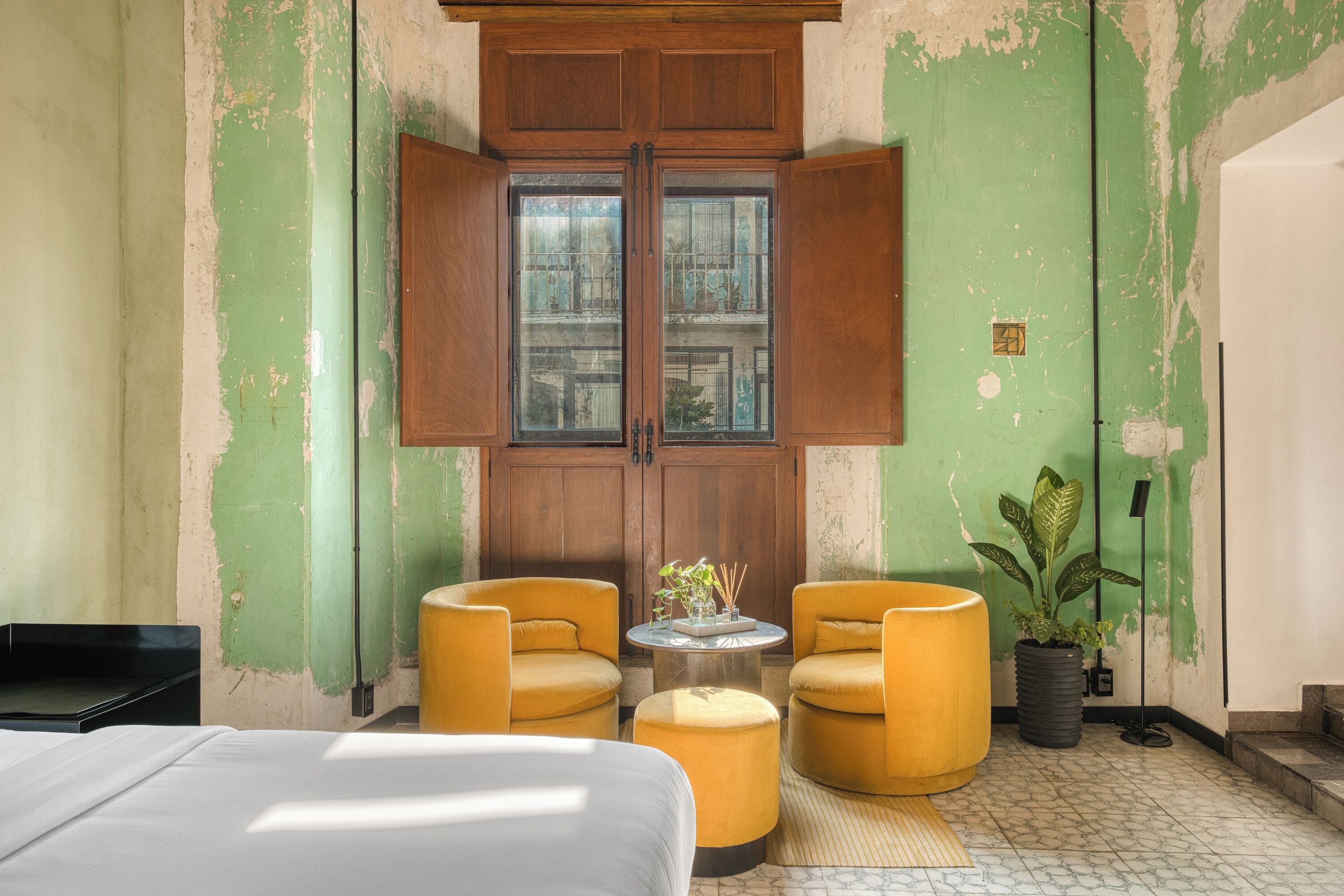 Foto - Pug Seal Oaxaca