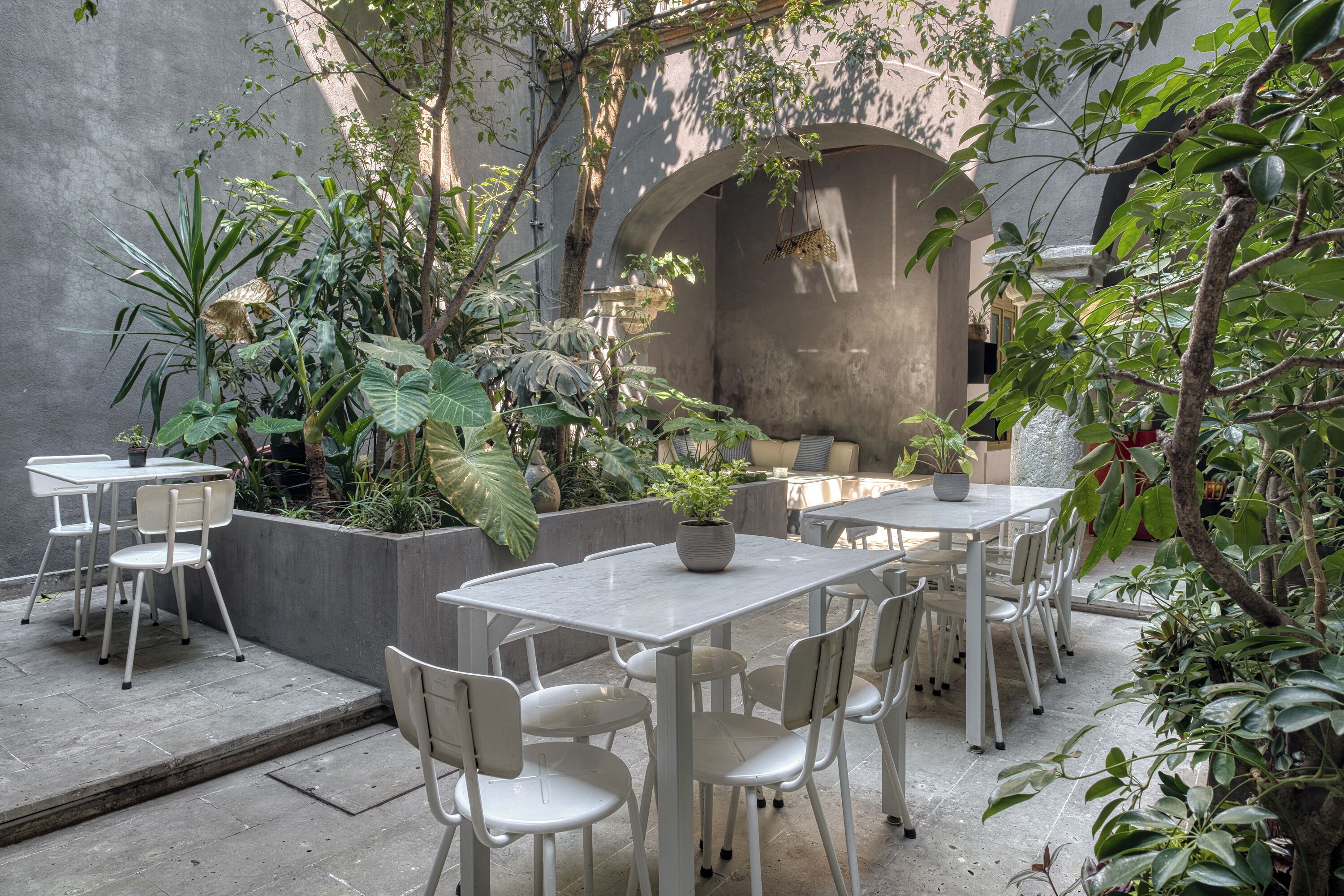 Foto - Pug Seal Oaxaca