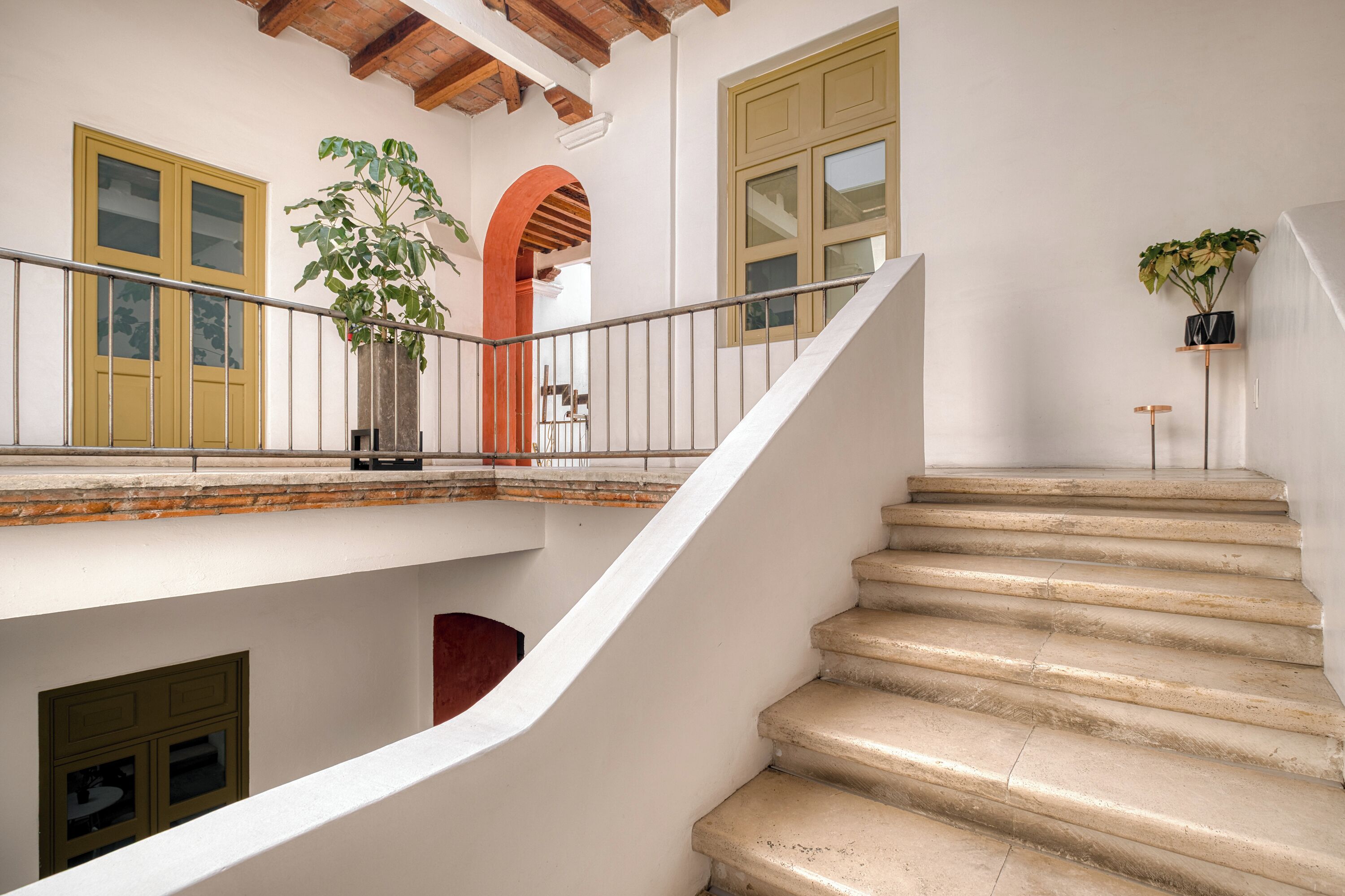 Foto - Pug Seal Oaxaca