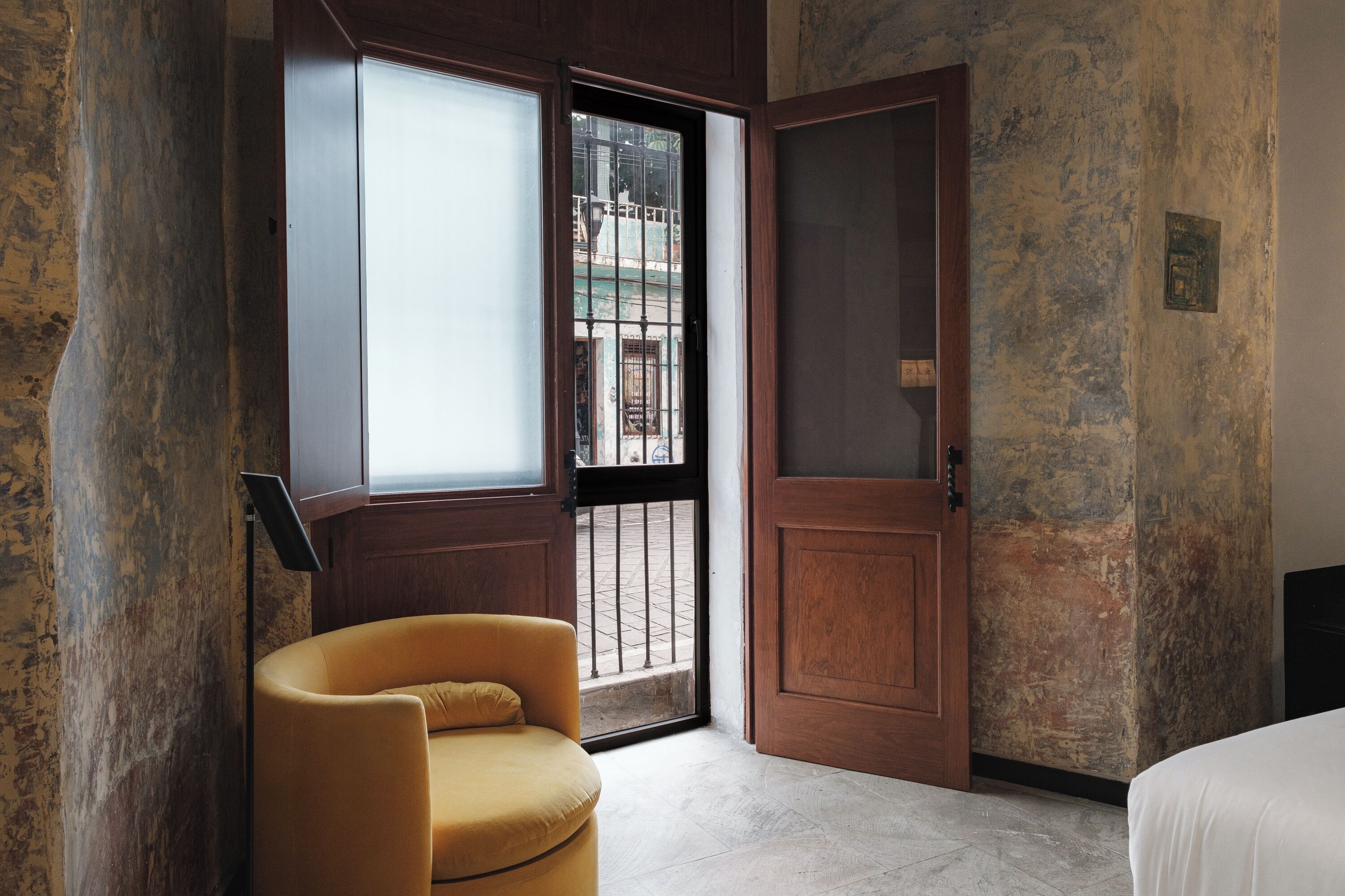 Foto - Pug Seal Oaxaca