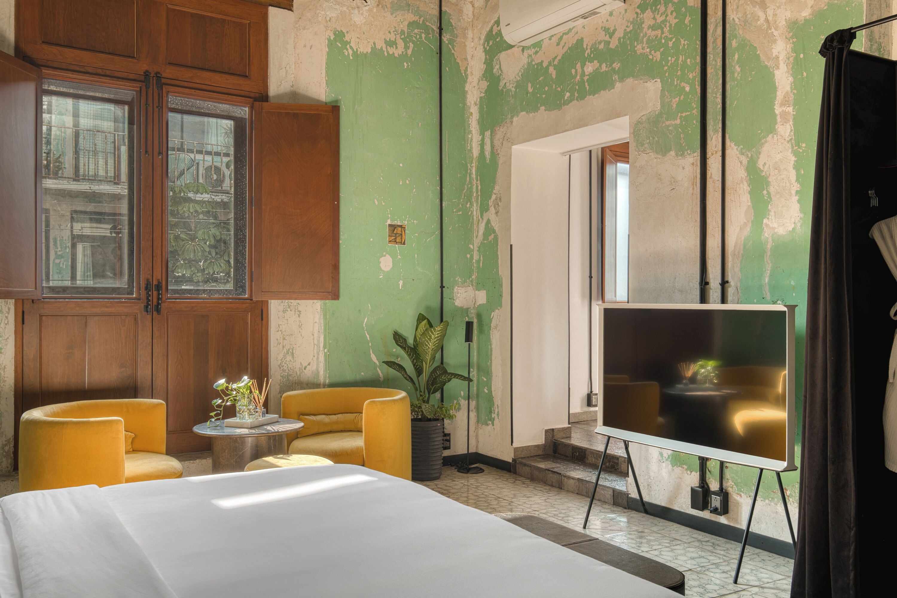 Foto - Pug Seal Oaxaca