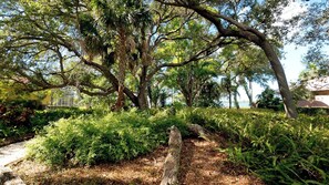 Imagen sin descripción, 4 de 49, botón