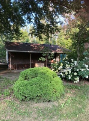 Property grounds - The Little Jurassic Lake House.<br>keep in mind sometime Satellite TV Doesn’t work. (Carrying Place)