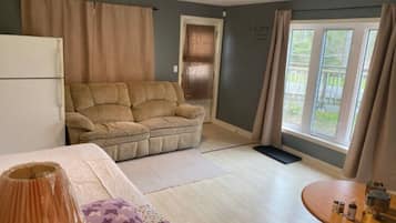 Smart TV, fireplace, books, video library